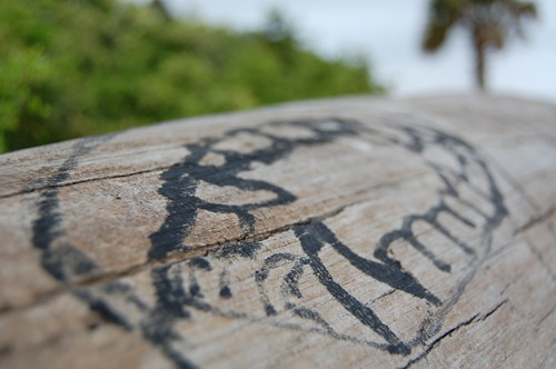 Tree Art — at the Bluffs.