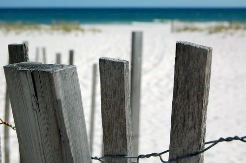 Fence