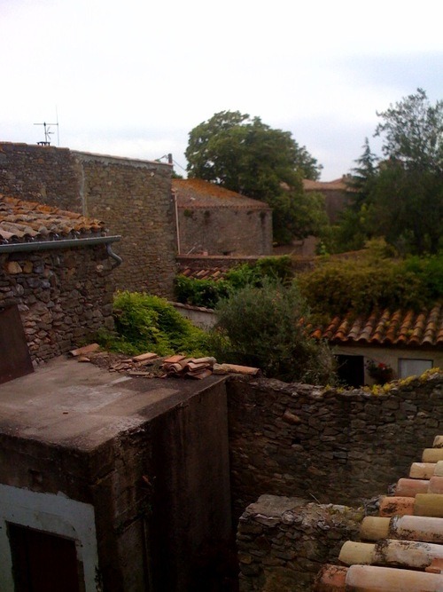 Looking out from Steve and Marilyn's