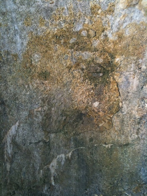 Pickens texture