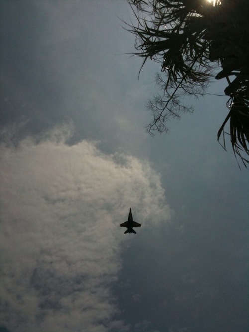Blue Angel